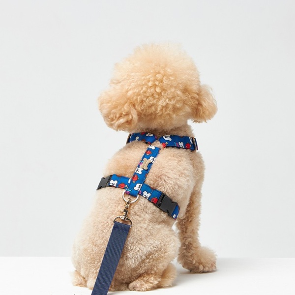 NORADOG（ノラドッグ）H型ハーネス / WooZoo H Harness