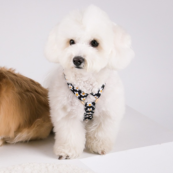 NORADOG（ノラドッグ）H型ハーネス / Daisy H Harness