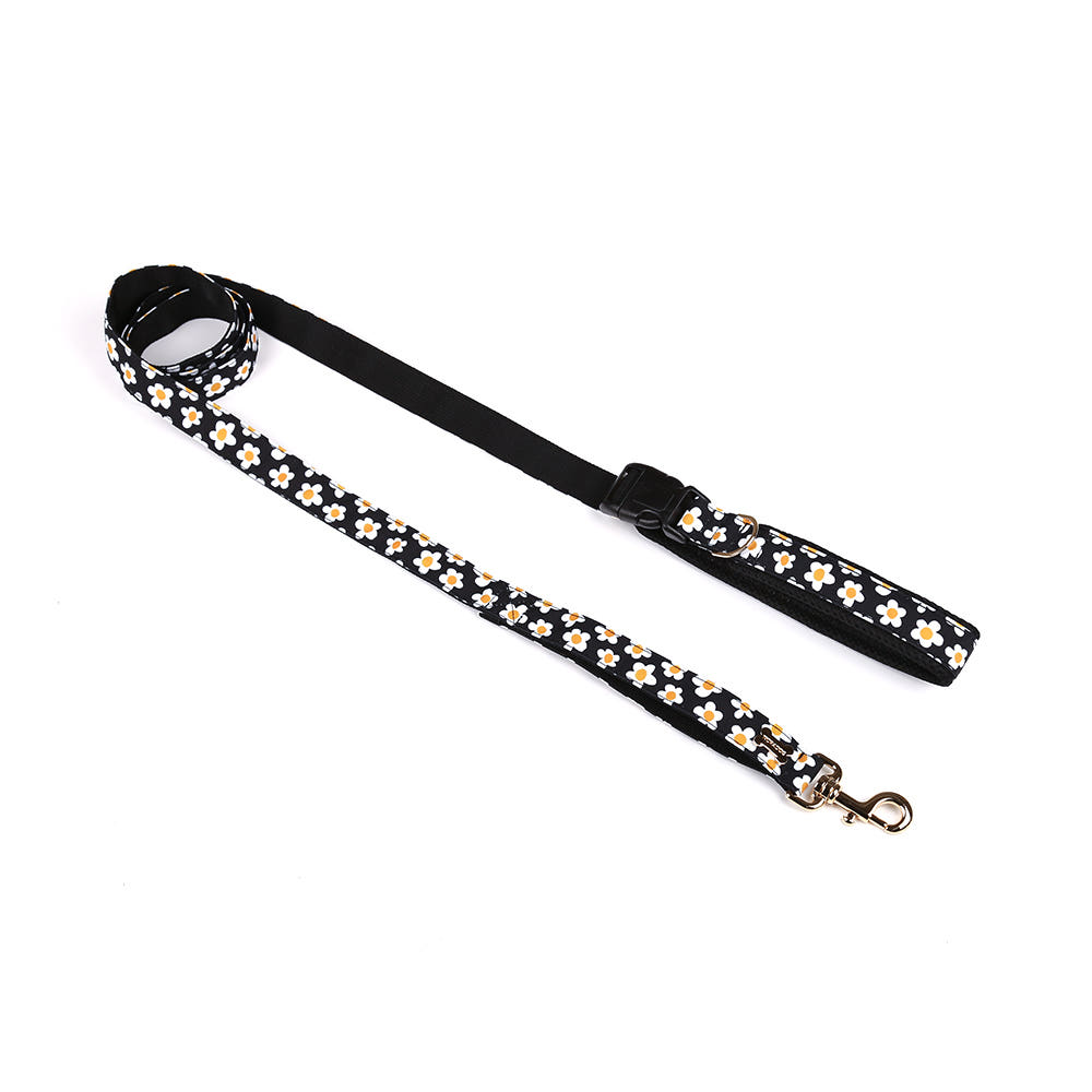 NORADOG（ノラドッグ）ベルトリード（7kg以下） / Daisy Belt Leash