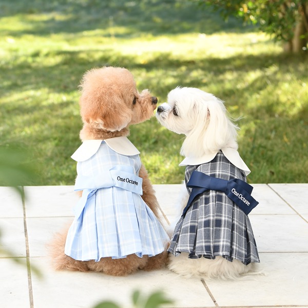 犬服スカート♡レースニット♡