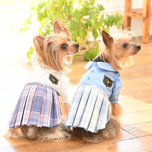 犬服スカート♡レースニット♡