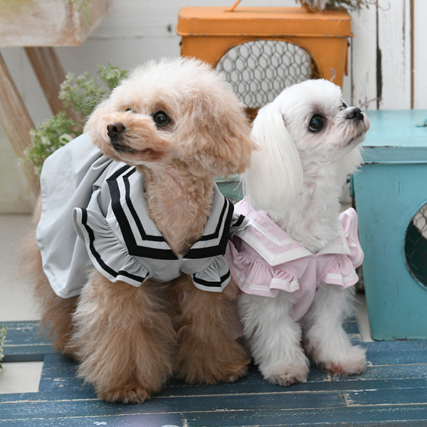 2026新商品 ONE OCTAVE(ワンオクターヴ)袖フリルセーラーワンピ