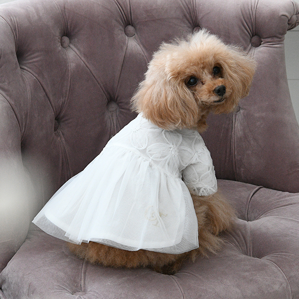 2026新商品 ONE OCTAVE(ワンオクターヴ)お花チュールワンピ