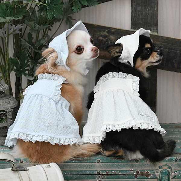 2026新商品 ONE OCTAVE(ワンオクターヴ)フリルロゴ刺繍ハット