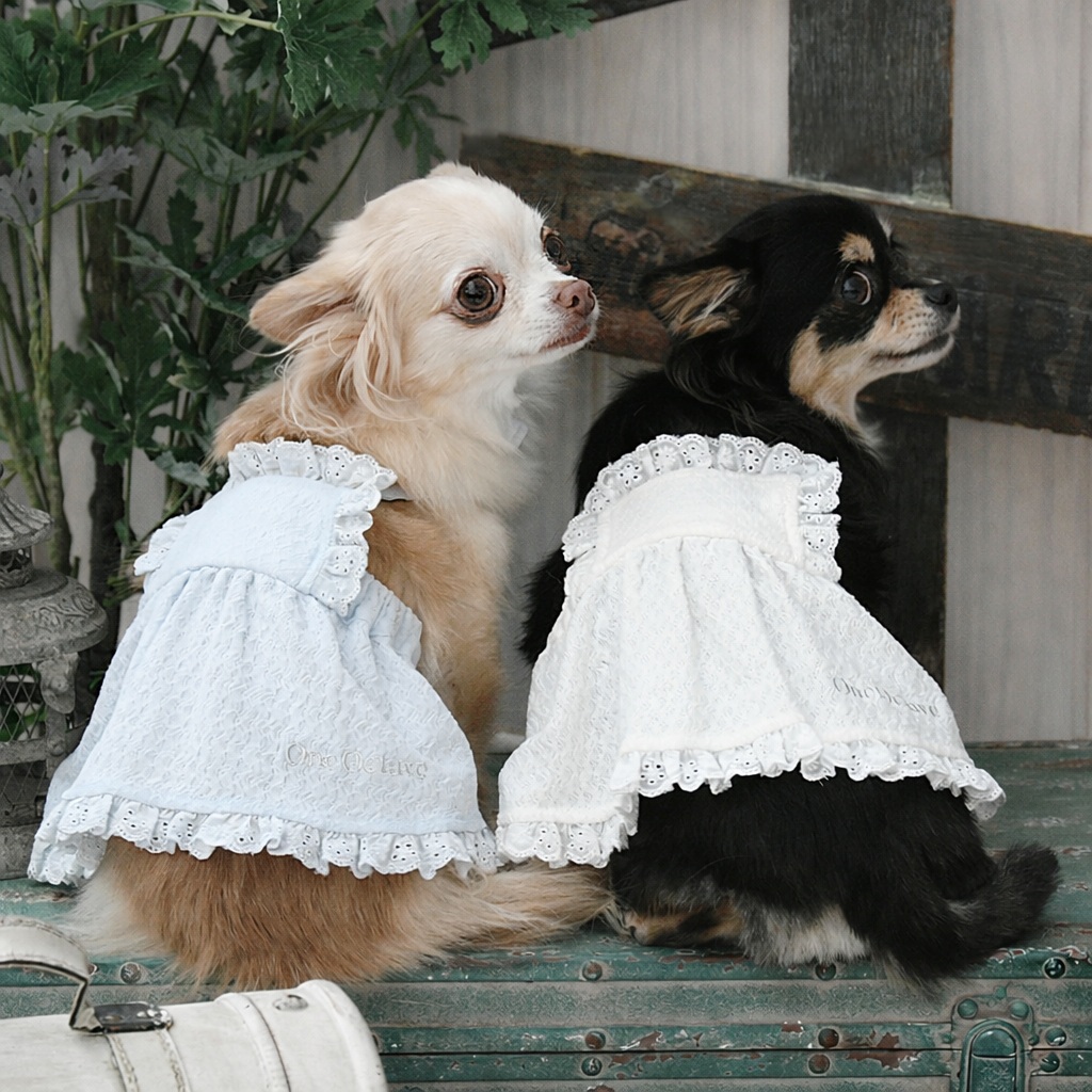 2026新商品 ONE OCTAVE（ワンオクターヴ）レースフリルオーバーオール