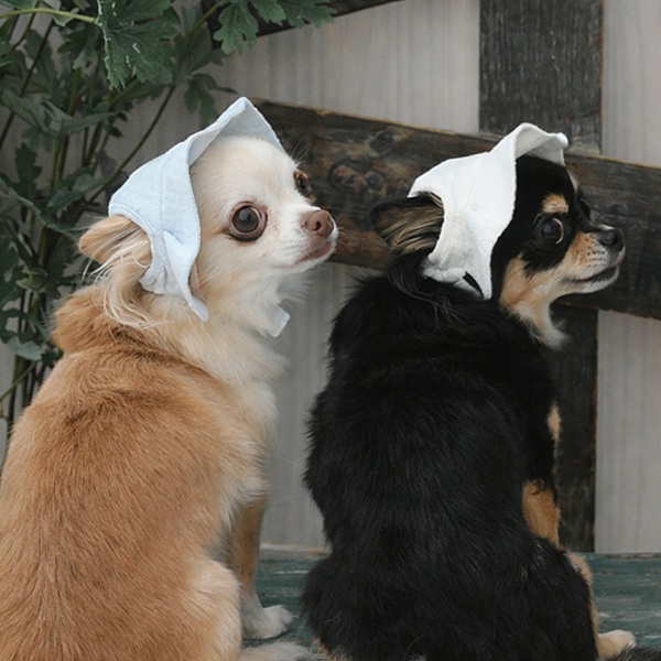 2026新商品 ONE OCTAVE（ワンオクターヴ）フリルロゴ刺繍ハット