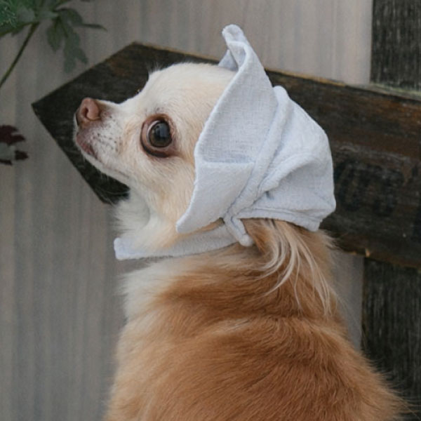 2026新商品 ONE OCTAVE(ワンオクターヴ)フリルロゴ刺繍ハット