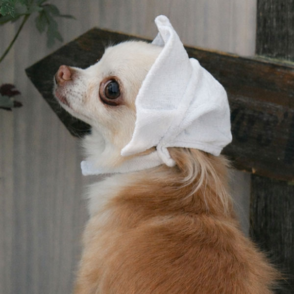 2026新商品 ONE OCTAVE(ワンオクターヴ)フリルロゴ刺繍ハット