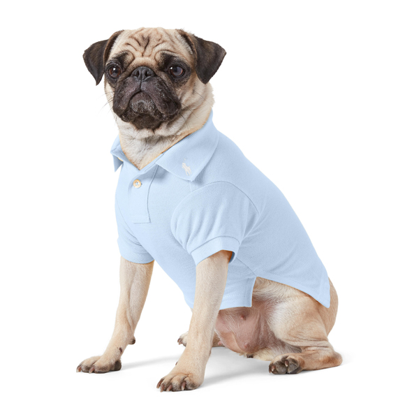 RALPH LAUREN（ラルフローレン）コットンメッシュポロシャツ / Cotton Mesh Dog Polo Shirt