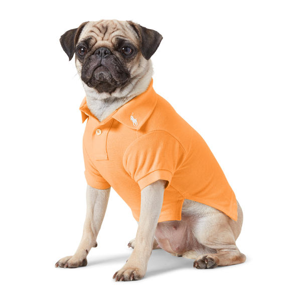 コットンメッシュポロシャツ / Cotton Mesh Dog Polo Shirt