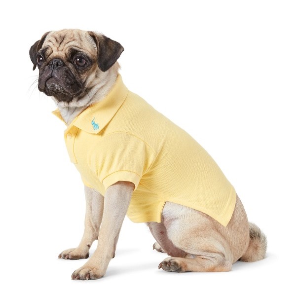 RALPH LAUREN（ラルフローレン）コットンメッシュポロシャツ / Cotton Mesh Dog Polo Shirt
