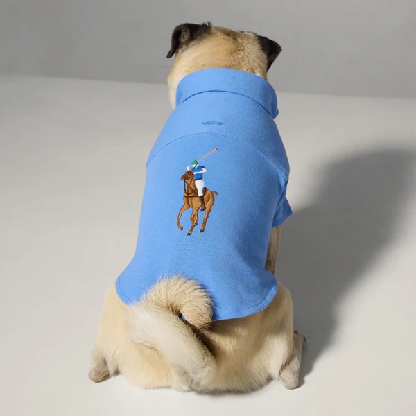 RALPH LAUREN（ラルフローレン）ポロポニーコットンメッシュポロシャツ / Polo Pony Dog Cotton Mesh Shirt