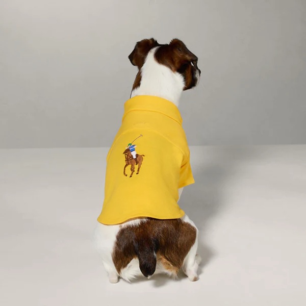 RALPH LAUREN（ラルフローレン）ポロポニーコットンメッシュポロシャツ / Polo Pony Dog Cotton Mesh Shirt