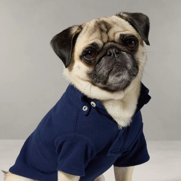 RALPH LAUREN（ラルフローレン）ホリデーベアメッシュポロシャツ / Holiday Bear Dog Mesh Polo Shirt