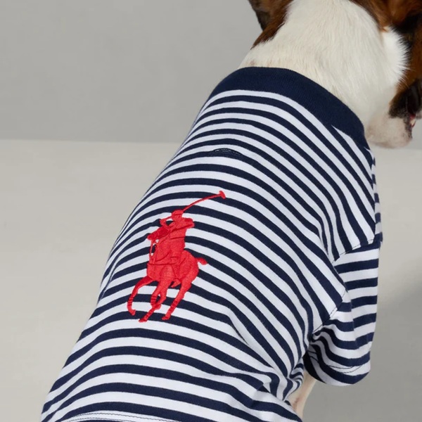 RALPH LAUREN（ラルフローレン）ポロポニーストライプTシャツ / Dog Polo Pony Stripe T-Shirt