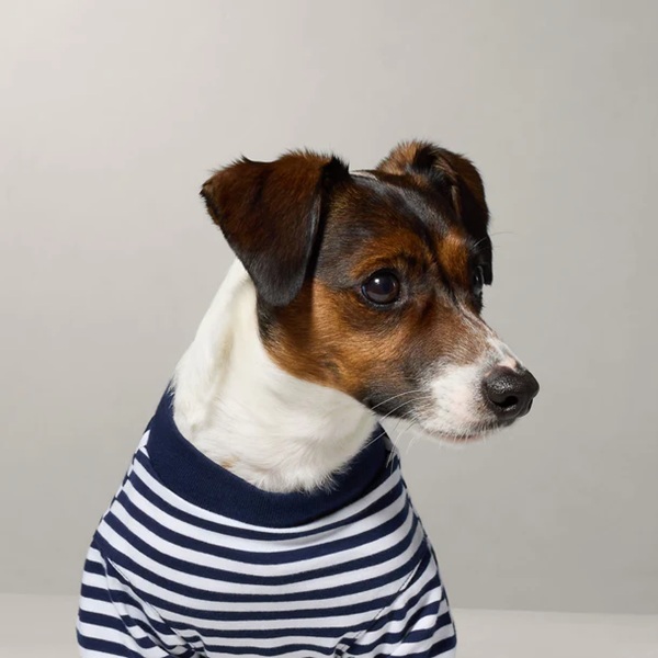 RALPH LAUREN（ラルフローレン）ポロポニーストライプTシャツ / Dog Polo Pony Stripe T-Shirt