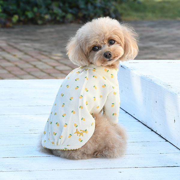 【パピー・超小型犬用】ROPE PICNIC（ロペピクニック）フルーツプリントワッフルTシャツ