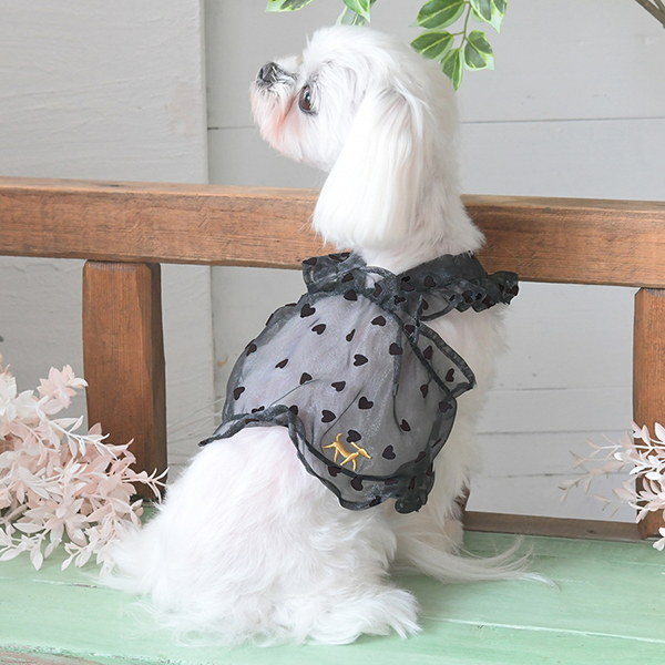 2025新商品 ROPE PICNIC（ロペピクニック）シースルーハート柄ショート丈キャミ