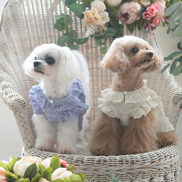 2025新商品 ROPE PICNIC（ロペピクニック）フリルワンピ