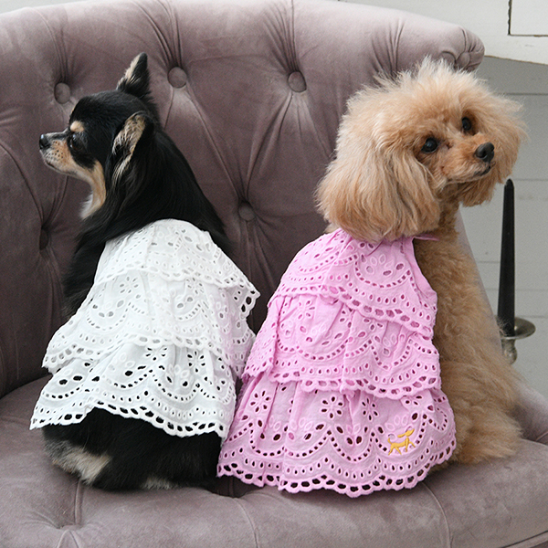 2026新商品 ROPE PICNIC（ロペピクニック）コットンレースティアードキャミワンピ