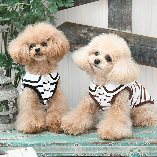 2026新商品 ROPE PICNIC(ロペピクニック)セーラーカラーボーダーカットソー