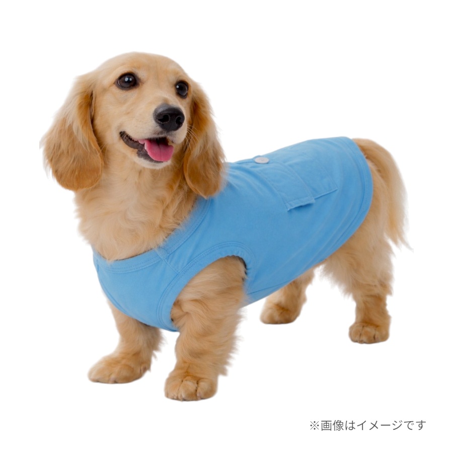 【公式ライセンス商品】シーブリーズ(SEA BREEZE)保冷剤付きメッシュタンク|全2色