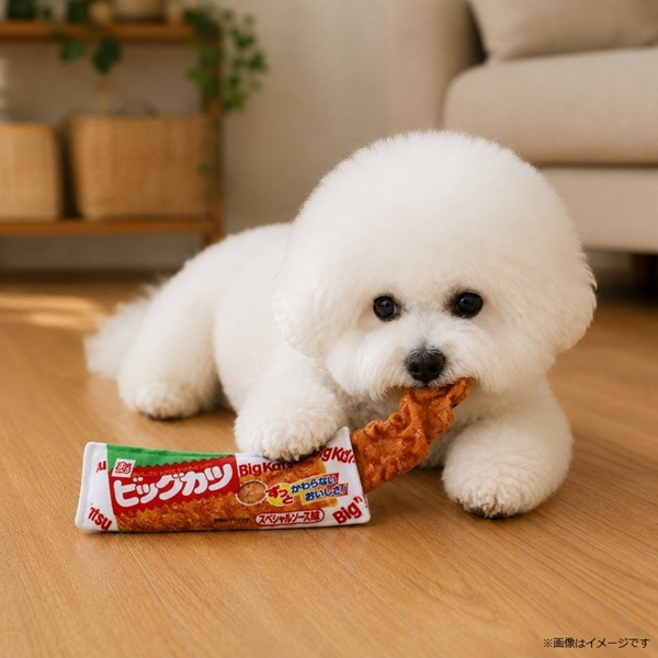【駄菓子おもちゃ】飛びでるおもちゃ ビッグカツ