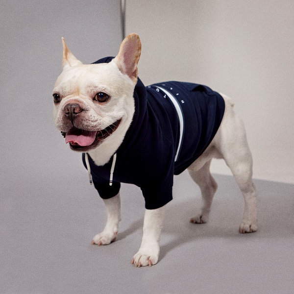 TOMMY HILFIGER（トミーヒルフィガー）ロゴフーディー / Dog Tito Hoodie