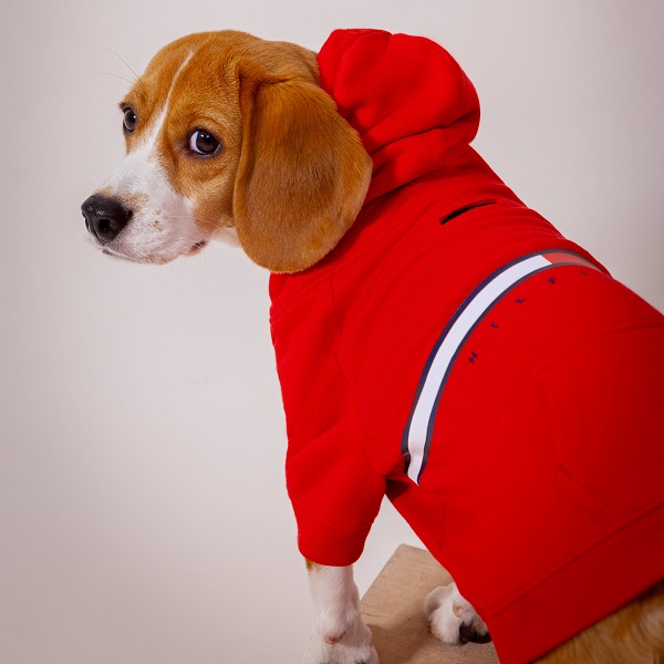 TOMMY HILFIGER（トミーヒルフィガー）ロゴフーディー / Dog Tito Hoodie