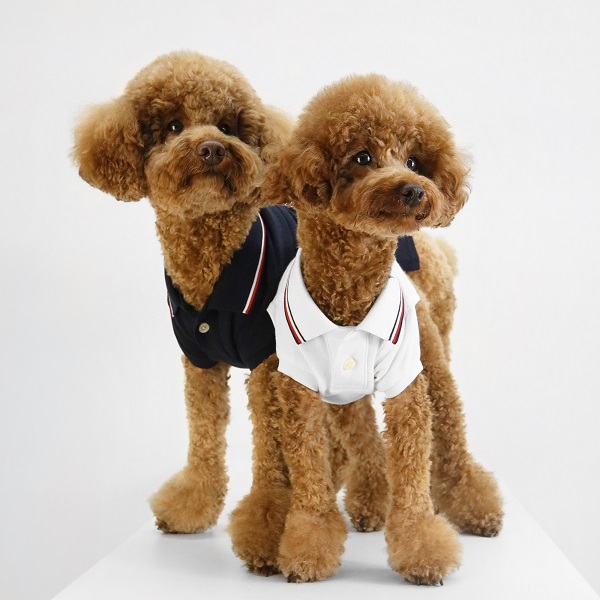 TOMMY HILFIGER（トミーヒルフィガー）ロゴポロシャツ / Dog Heritage Polo