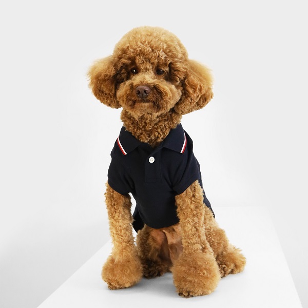 TOMMY HILFIGER（トミーヒルフィガー）ロゴポロシャツ / Dog Heritage Polo