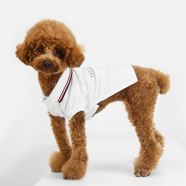 TOMMY HILFIGER（トミーヒルフィガー）ロゴポロシャツ / Dog Heritage Polo