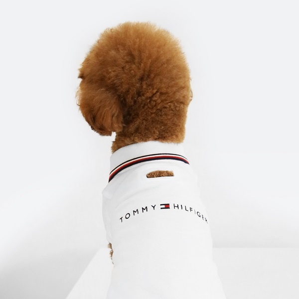 TOMMY HILFIGER（トミーヒルフィガー）ロゴポロシャツ / Dog Heritage Polo