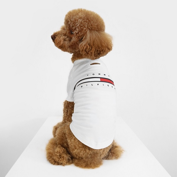 TOMMY HILFIGER（トミーヒルフィガー）ロゴTシャツ / Dog Tino Tee