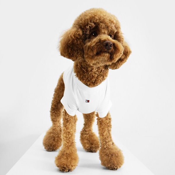 TOMMY HILFIGER（トミーヒルフィガー）ロゴTシャツ / Dog Tino Tee