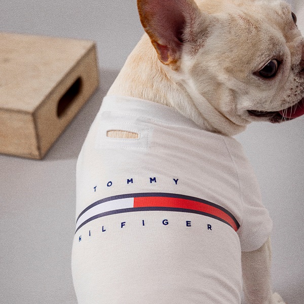 TOMMY HILFIGER（トミーヒルフィガー）ロゴTシャツ / Dog Tino Tee