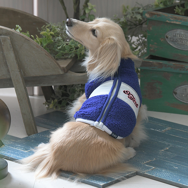 2025秋冬 X-girl（エックスガール）チアフルロゴフリース