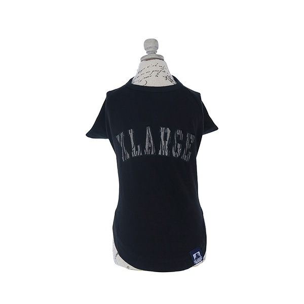 2022春夏 XLARGE（エクストララージ）ゼブラロゴTシャツ