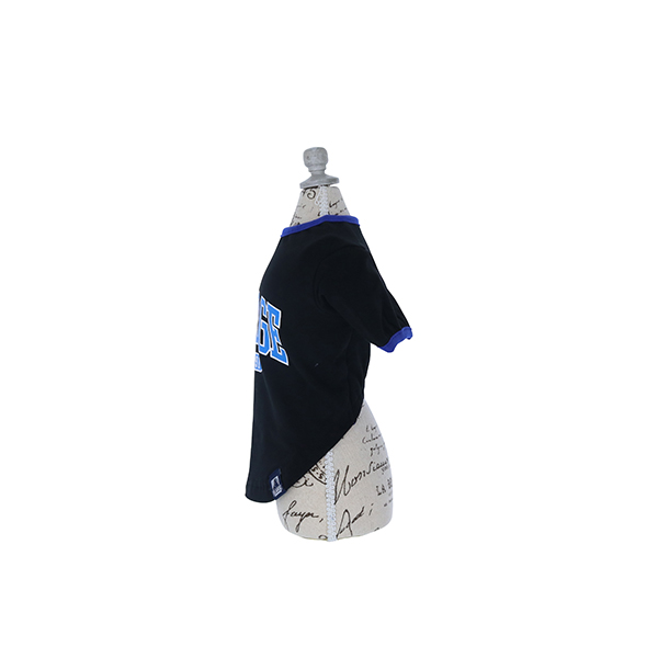 2022 XLARGE（エクストララージ）パイピングロゴＴシャツ