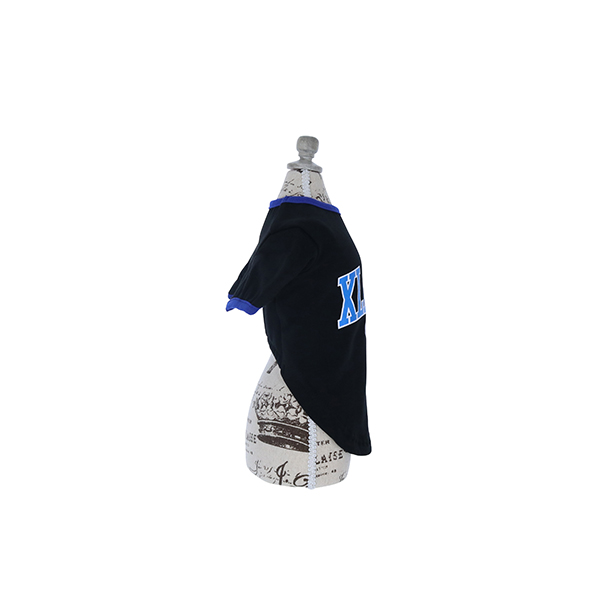 2022 XLARGE（エクストララージ）パイピングロゴＴシャツ