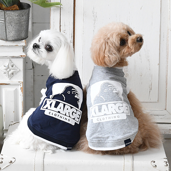 2023春夏 XLARGE（エクストララージ）オージータンク