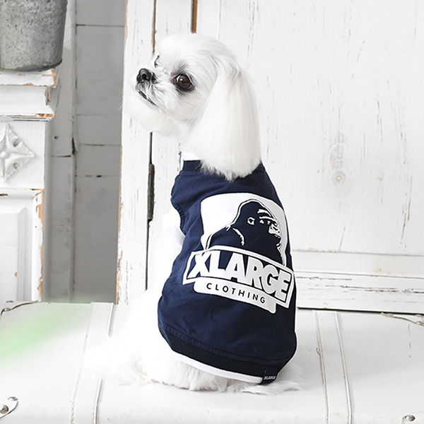 2023春夏 XLARGE（エクストララージ）オージータンク