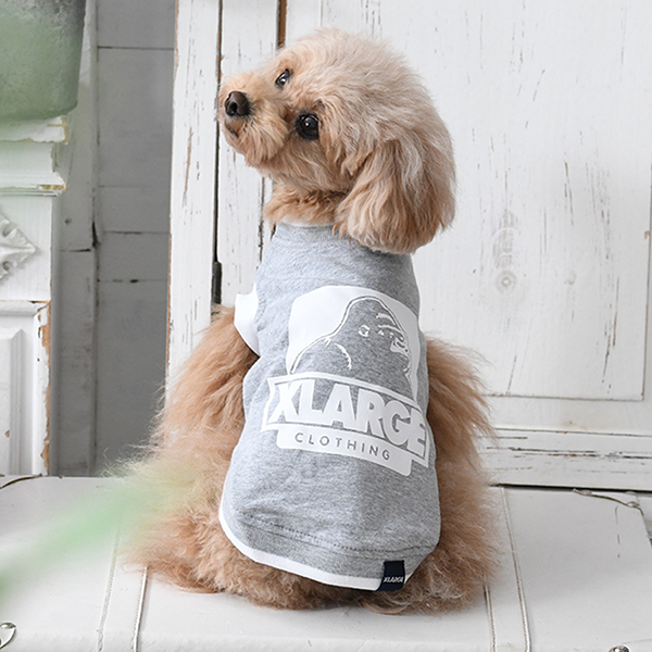 2023春夏 XLARGE（エクストララージ）オージータンク