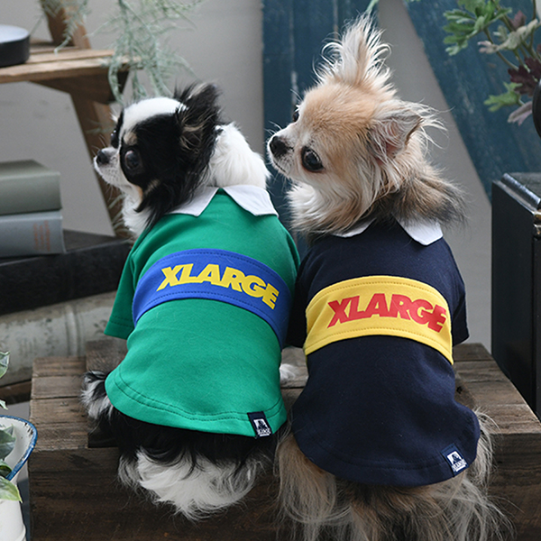 XLARGE（エクストララージ）ラガーシャツ