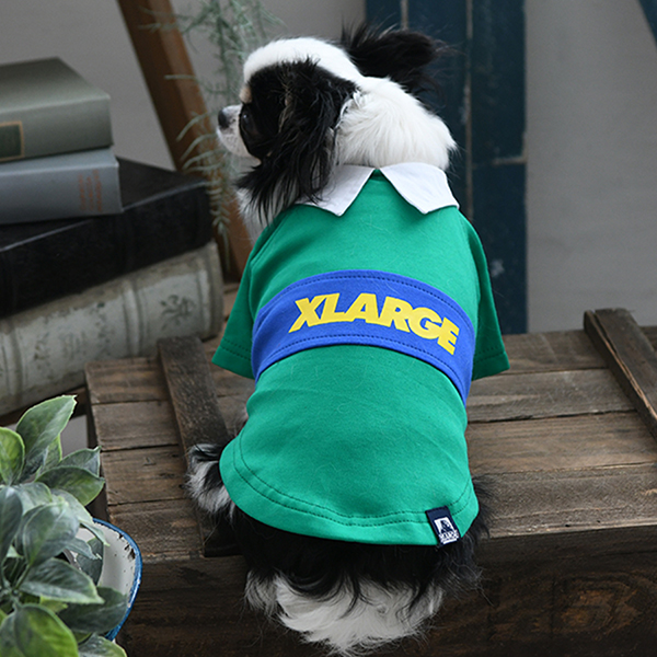 XLARGE（エクストララージ）ラガーシャツ