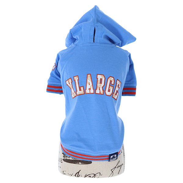 XLARGE（エクストララージ）ペイズリーロゴフーディー