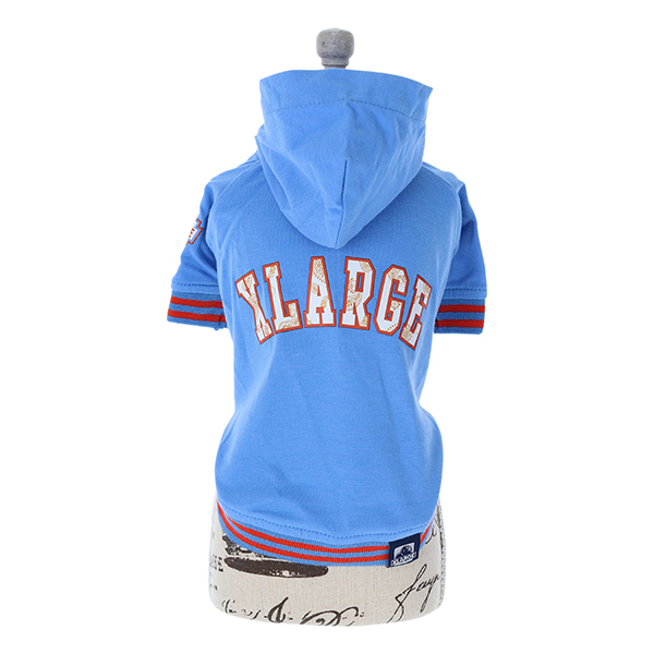 XLARGE（エクストララージ）ペイズリーロゴフーディー