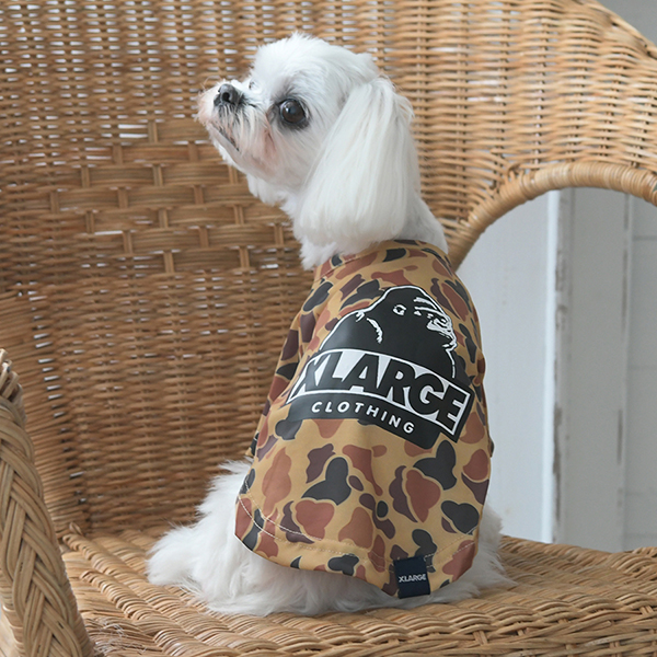 2025新商品 XLARGE（エクストララージ）OGカモフラTシャツ