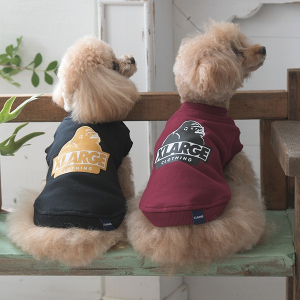 2025新商品 XLARGE（エクストララージ）OGノースリーブプルオーバー