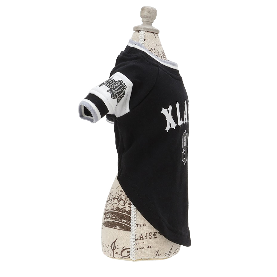 2025新商品 XLARGE（エクストララージ）ロゴプルオーバー